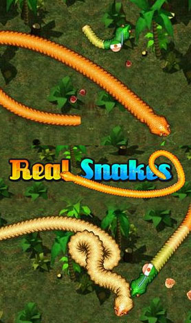 Slither Snake