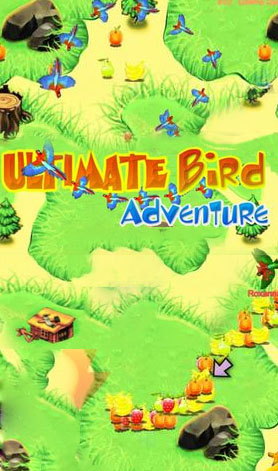 Ultimate Bird Adventure
